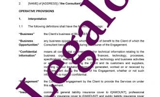 Consultancy Agreement (Individual) preview 1 image