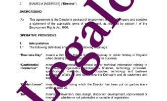 Director's Service Agreement preview 1 image