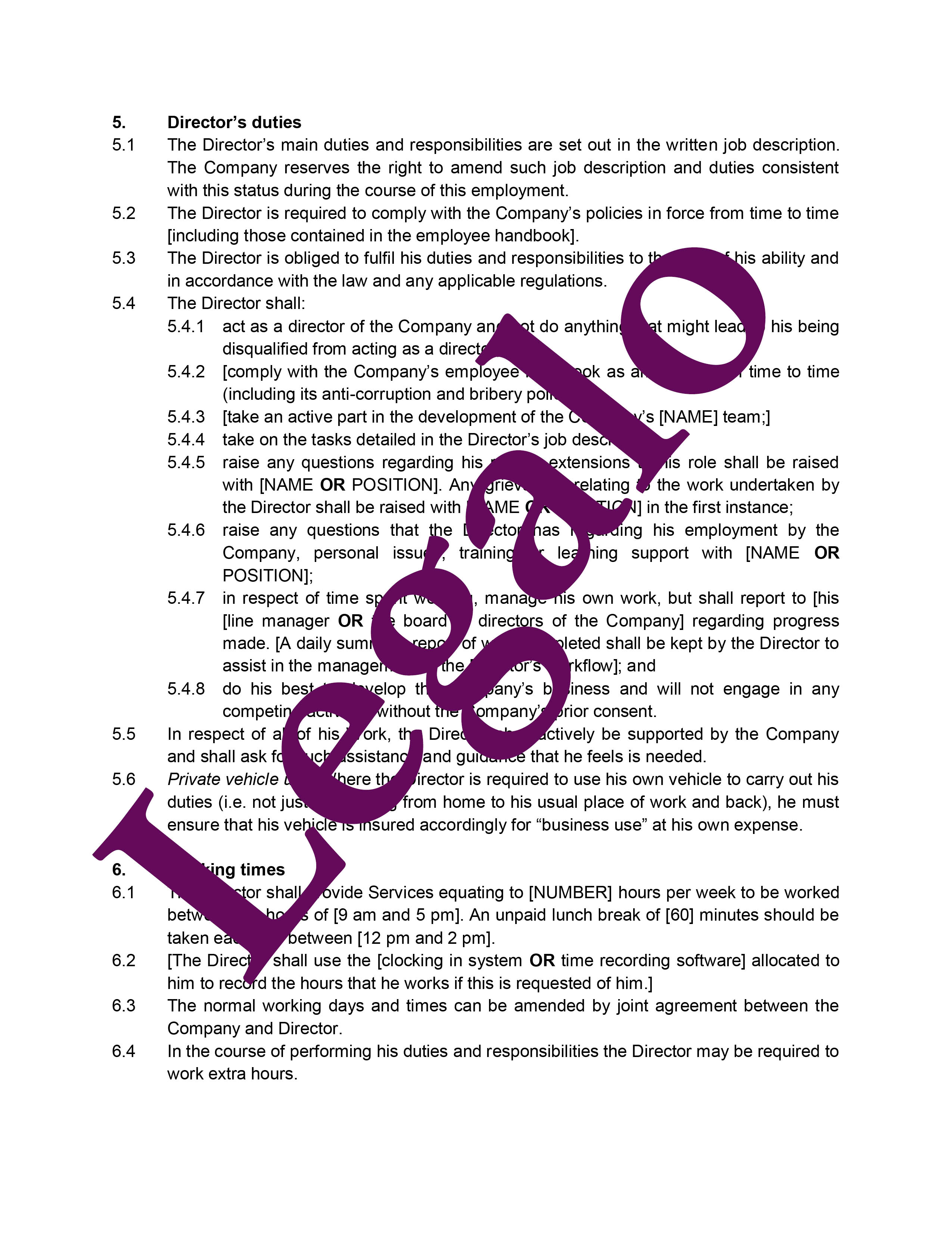 Board Of Directors Agreement Template Board Of Directors Agreement Template