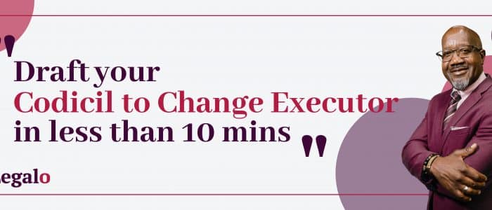 Executor Change Codicil Template | Easily Change an Executor