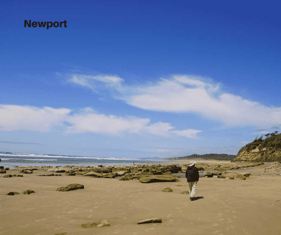 Newport image