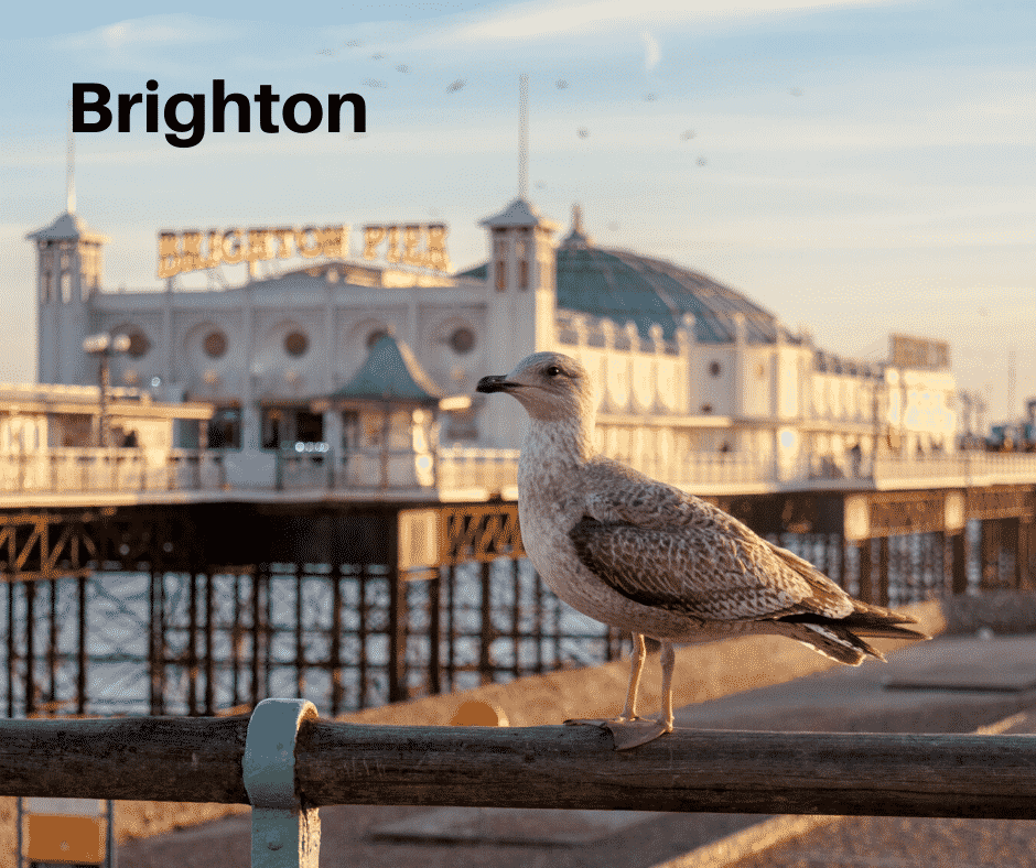 Brighton image